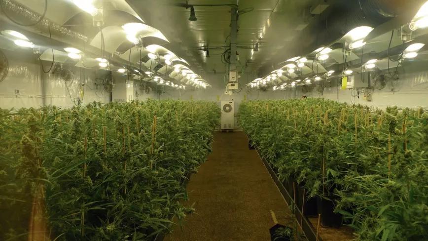 Mi particular jardín del Edén