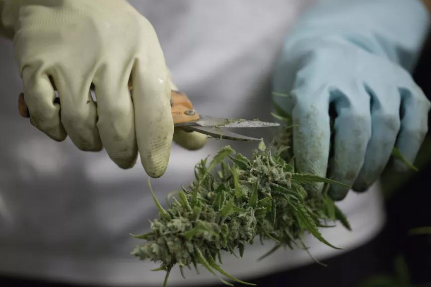 El equipo de manicura: guantes de goma para no llenarse de resina y tijeras afiladas