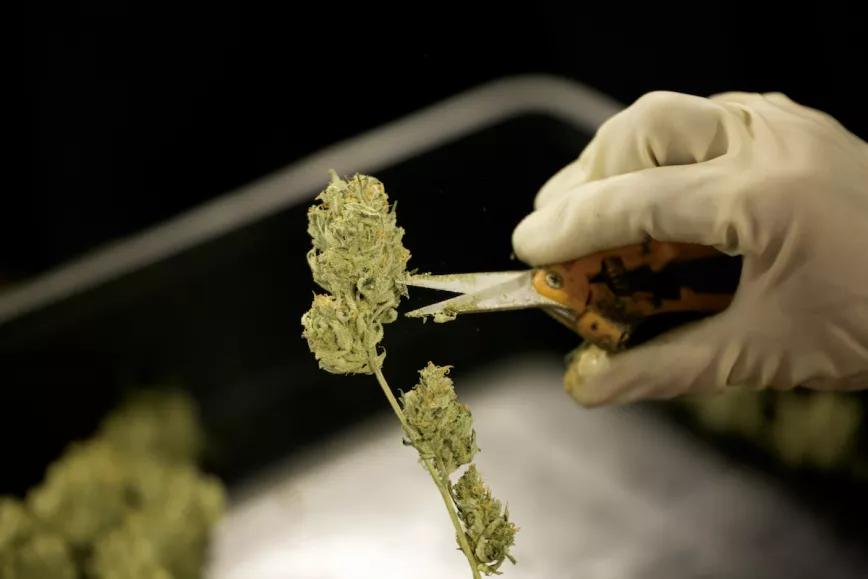 Los manicuradores son un elemento esencial que no hay que descuidar, ellos le dan el aspecto final al producto.