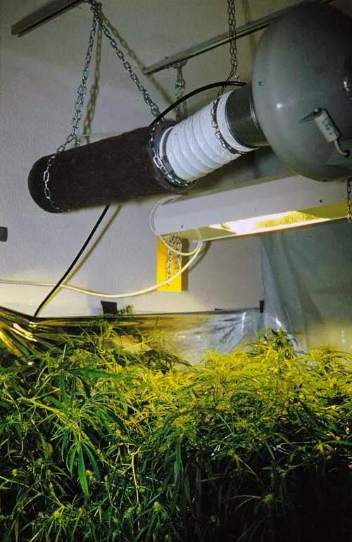 Extractor conectado a un filtro de carbón activo para eliminar el olor.