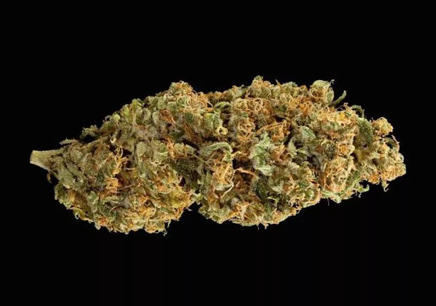 2 – Jack Skellington