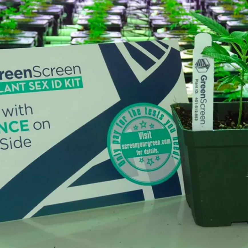 Artilugio Kit de identificación del sexo de la planta