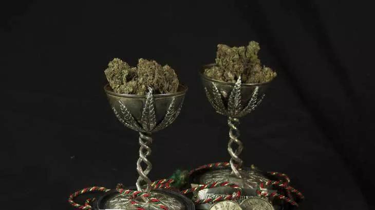 Mejor empresa de semillas - Hachís