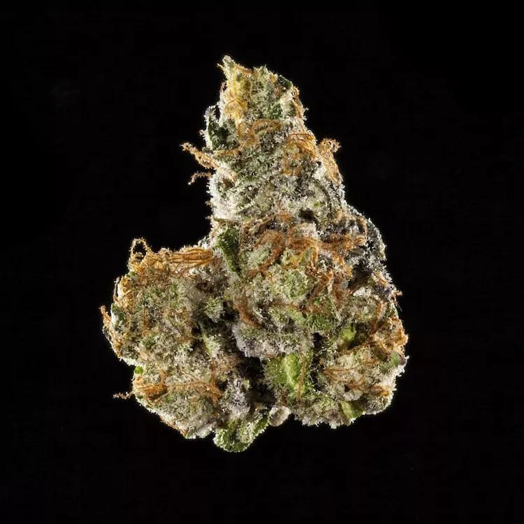 Mejor Sativa: Gelonade de Connected.