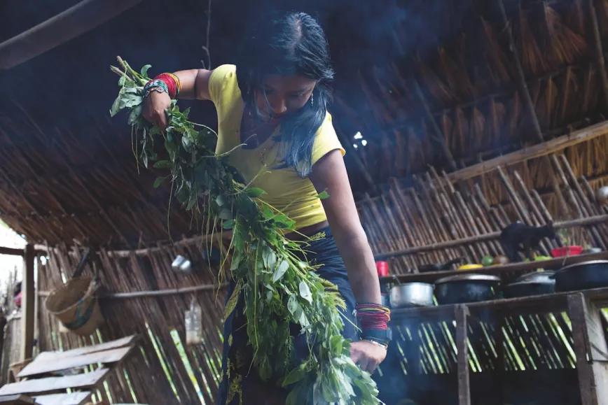 Una muchacha de la etnia kuna prepara un remedio de protección contra mosquitos de Arehia, en el municipio de Unghia, en la frontera entre Panamá y Colombia