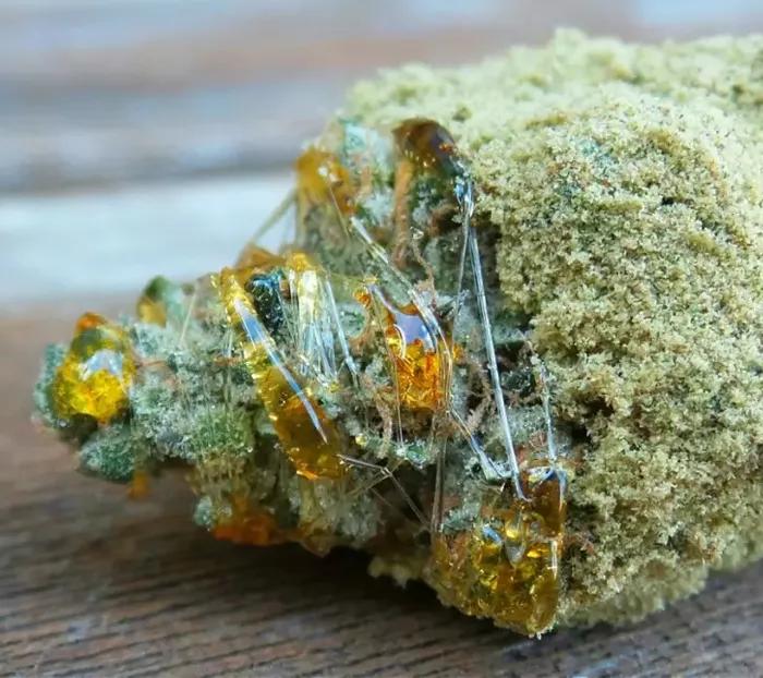 Moon Rocks: Las piedras lunares son concentrados potentisimos que llevan un poco de todo. Si con esto no te colocas es que tu resistencia contra los psicoactivos no tiene parangón. Podrías trabajar como espía.