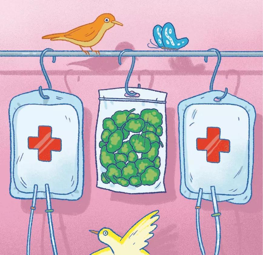 Los socios medicinales