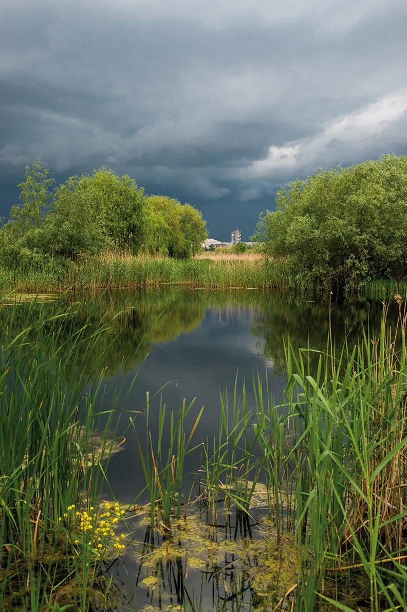 El lago Văcăreşti