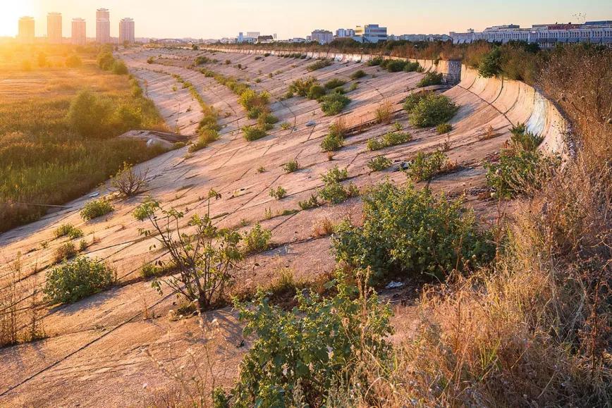 Văcărești es el primer parque natural urbano de Rumanía