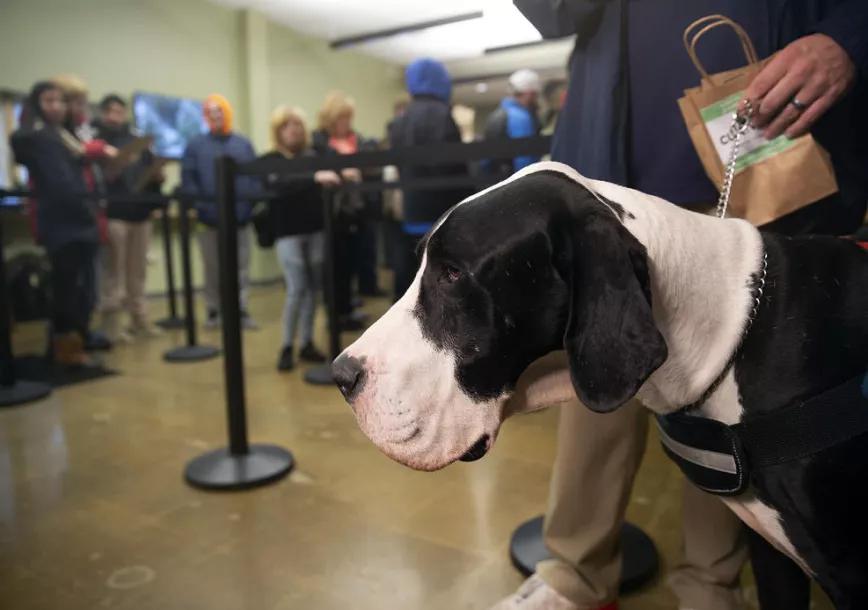 Las imágenes de la felicidad: Massachusetts en su primer día de venta legal