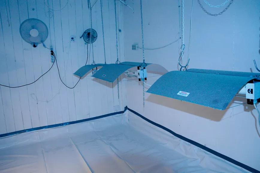 La combinación de grapas y cinta americana fija perfectamente el plástico a la pared