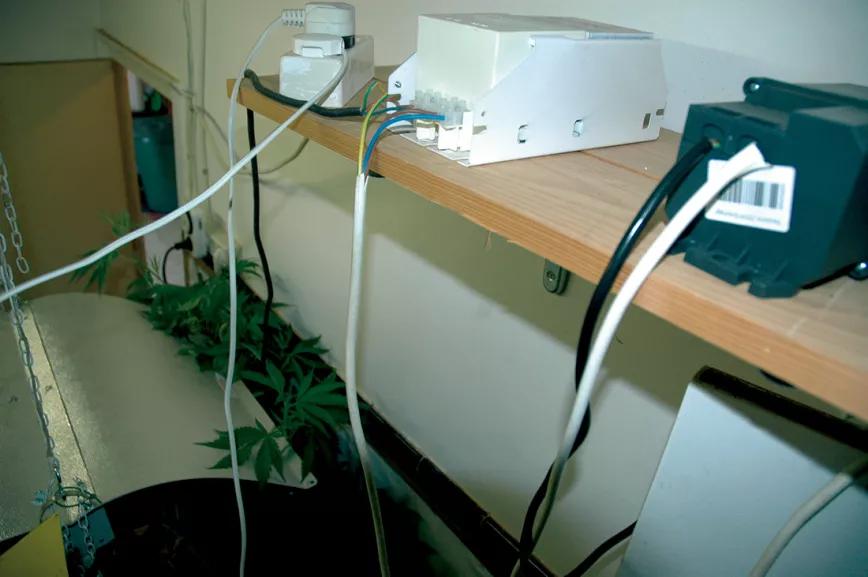 Este cultivador ha instalado un estante en la parte superior de la pared para colocar los balastros