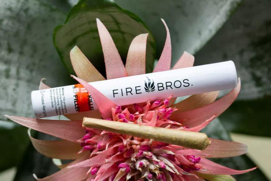 Plum Dawg Millionaire de Fire Bros: Para el conocedor de cannabis es una delicia. Para el que solo quiere fumarse un porro de calidad, este es el mejor del estado de Washington (según Leafly).