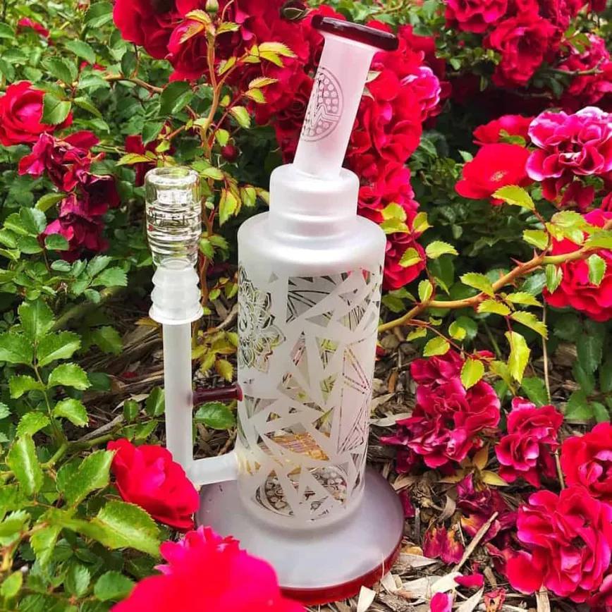 Pulse Leaning Tongue: Precio 300 dólares