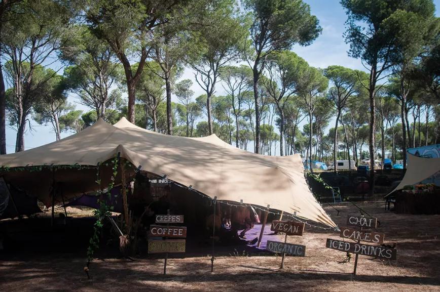 Arquitecturas efímeras bajo los pinares