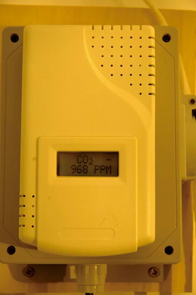 Elevar el CO2 permite aumentar la productividad de las plantas fácilmente. 