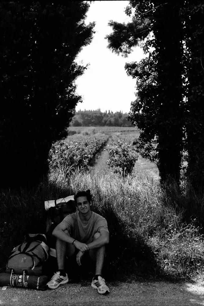 Campo de viñedos en Avignon