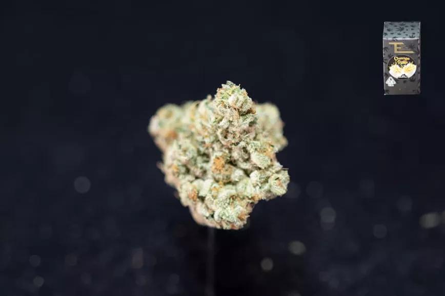 Mejor sativa: Orange Soda de Team Elite Genetics
