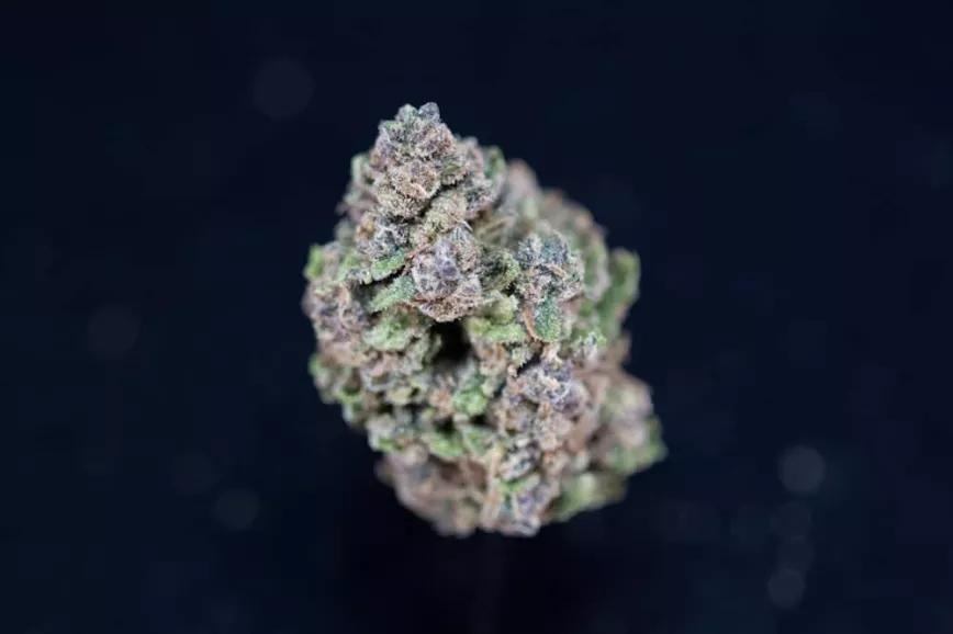 Mejor planta de exterior: Venom OG de Honeydew Farms