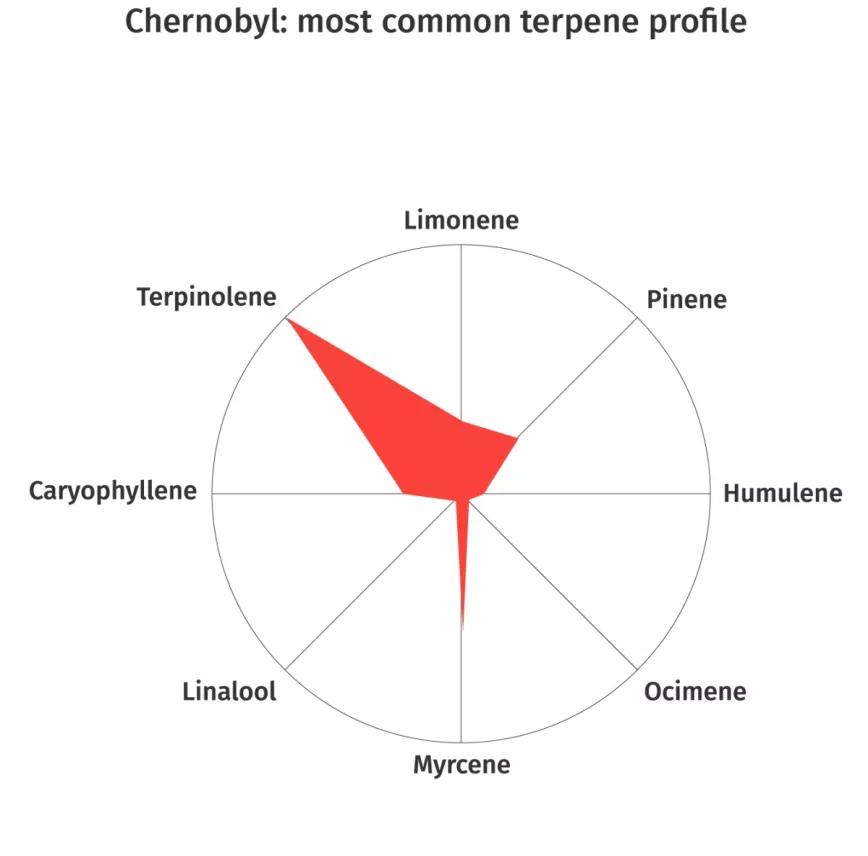 Chernobyl: De infame denominación, Chernobyl es un cruce entre Trainwreck, Jack the Ripper y Trinity. Está pensada para generar somnolencia y efectos duraderos de relajación y felicidad.