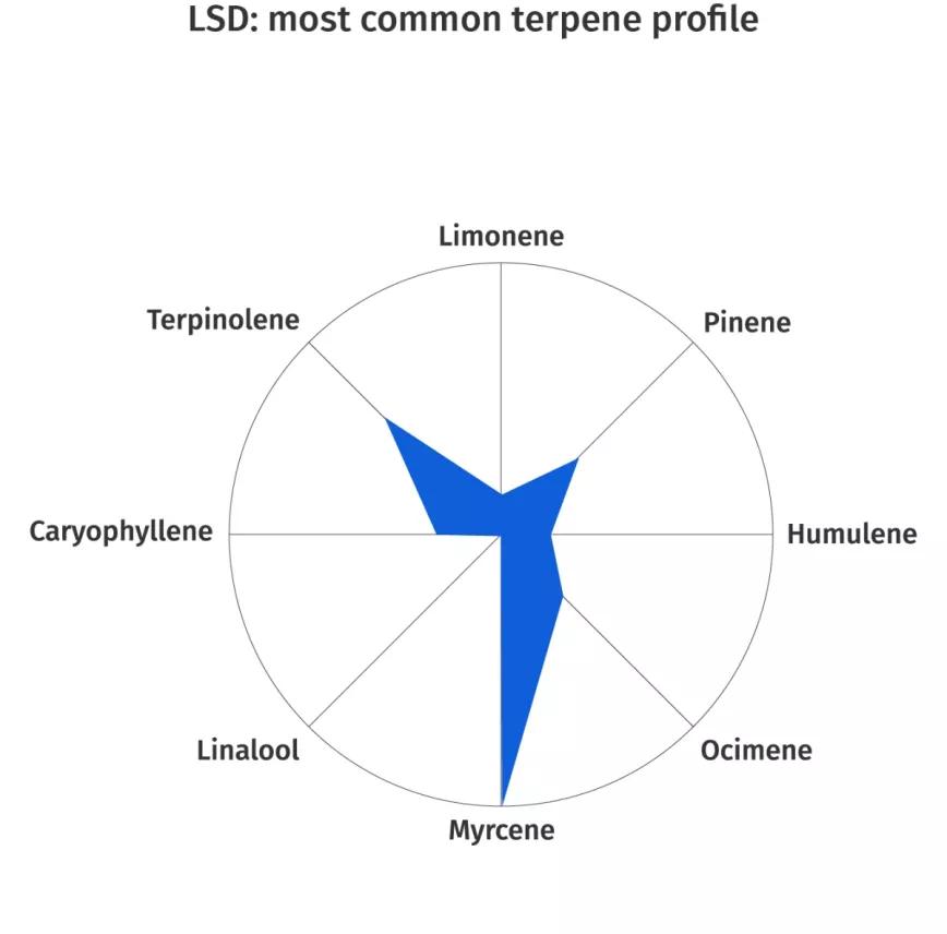 LSD:  Cruce entre Mazar-I-Sharif y Skunk #1. Aroma a cítrico, claro, así como otros más de la tierra. La gente suele reportar estados psicodélicos cuando consume esta planta, de ahí su nombre.