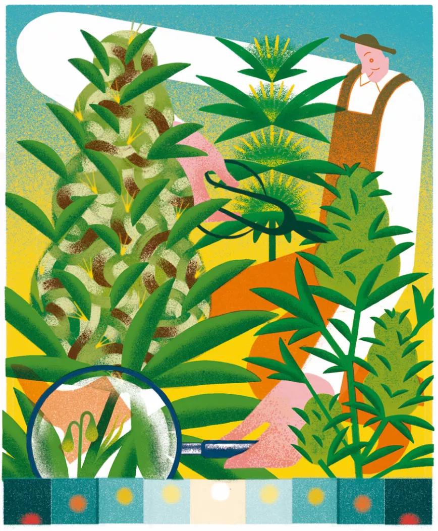 Ilustración de Julio Fuentes