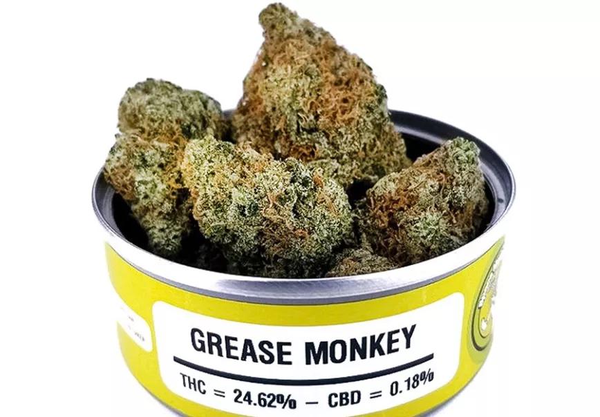 GREASE MONKEY: Esta planta suele producir efectos relajación profunda que lleva a la inactividad, es decir, lo que uno está buscando en una variedad para la noche. Da gusa, por lo que viene bien para antes de cenar.