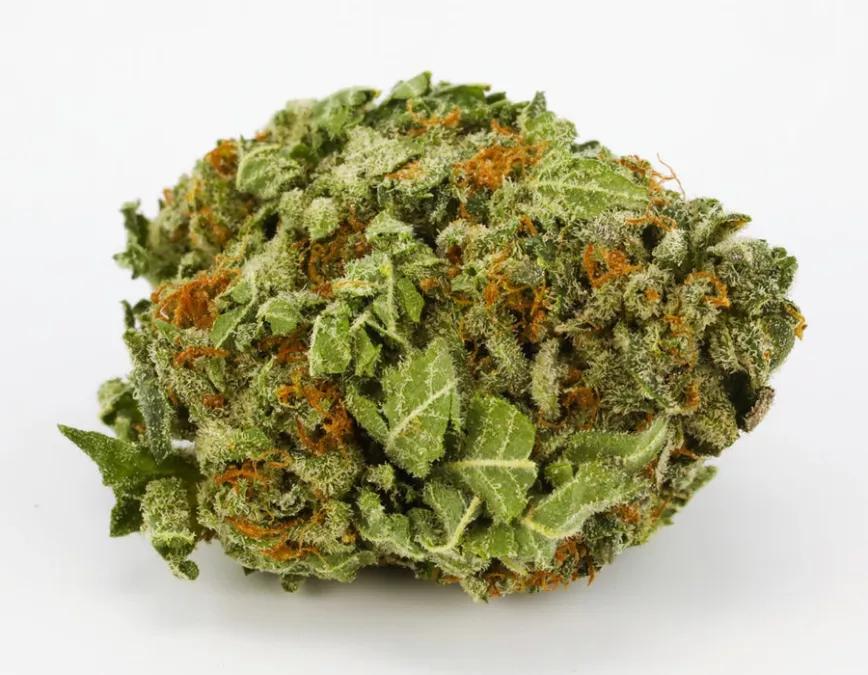 CANDYLAND: Se empareja esta variedad con actividades creativas como tocar un instrumento, pintar o hacer música. Una variedad que se caracteriza por ayudar a la sociabilidad. Cuando empiezas a ver caer el sol, Candyland ayuda a incorporarse a la vida civil.