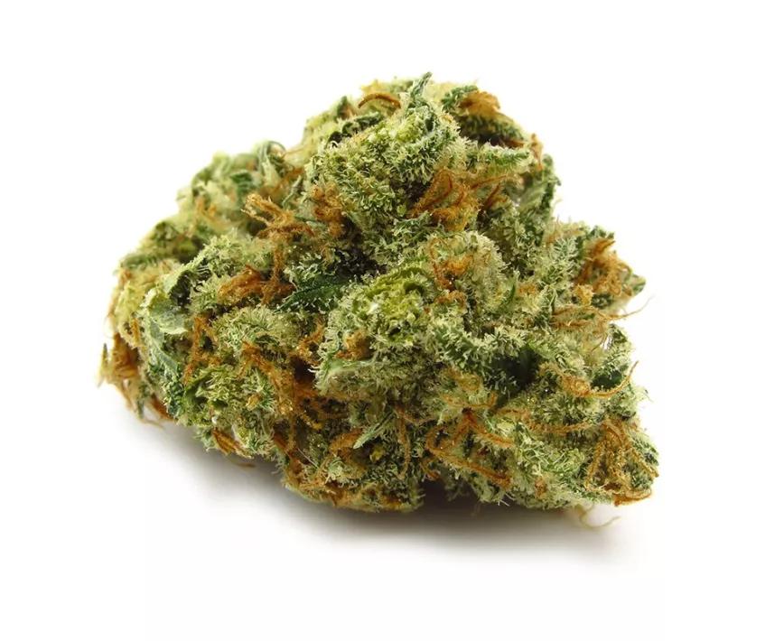 XJ-13: Relaja la paranoia y la tensión y va bien para alimentar la creatividad. La variedad pone las ganas y tu la creatividad. No le eches la culpa si lo que te sale al empezar a crear es una cosa monstruosa.