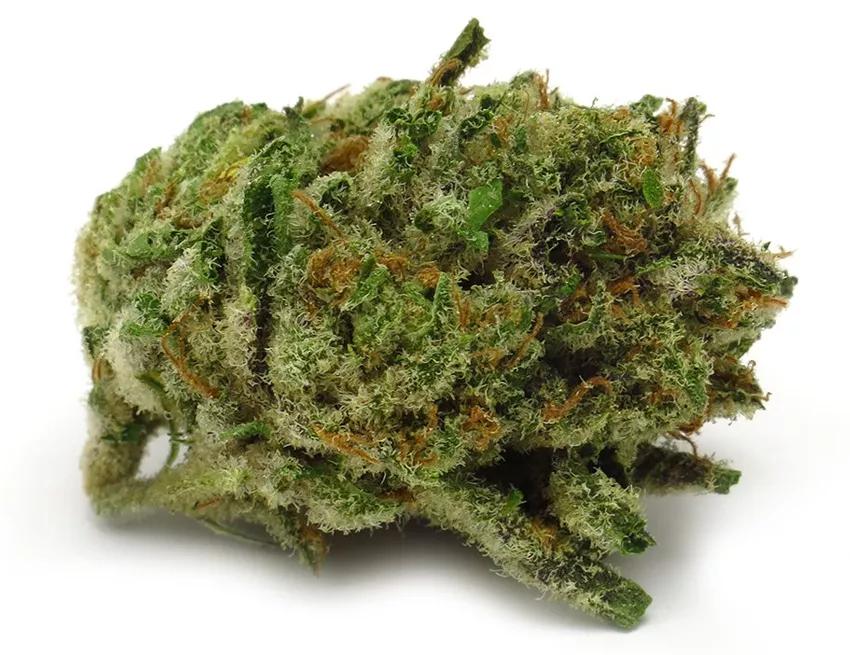 CHERRY WHITE: Popular entre los que cultivan indoor como outdoor. El CBD ronda entre el 19% y el 21% con un THC que no llega al 1%. Es ideal para calmar el estrés y ayuda con el dolor.