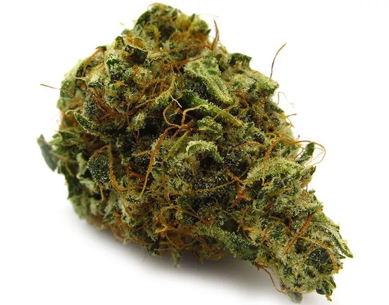 GREASE MONKEY: Para que todas las cenas sean una fiesta, esta variedad abre el apetito para que te cebes bien. ¿Quién dijo que el otoño es triste?