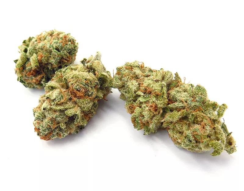 WEDDING CAKE: Esta variedad, que también se conoce como Pink Cookies, pone comienzo a otra temporada que no es la de bodas, sino la de las variedades de otoño. Mientras caen las hojas y te embarga la melancolía, no te dejes llevar por ella y anima el día con esta potente variedad.