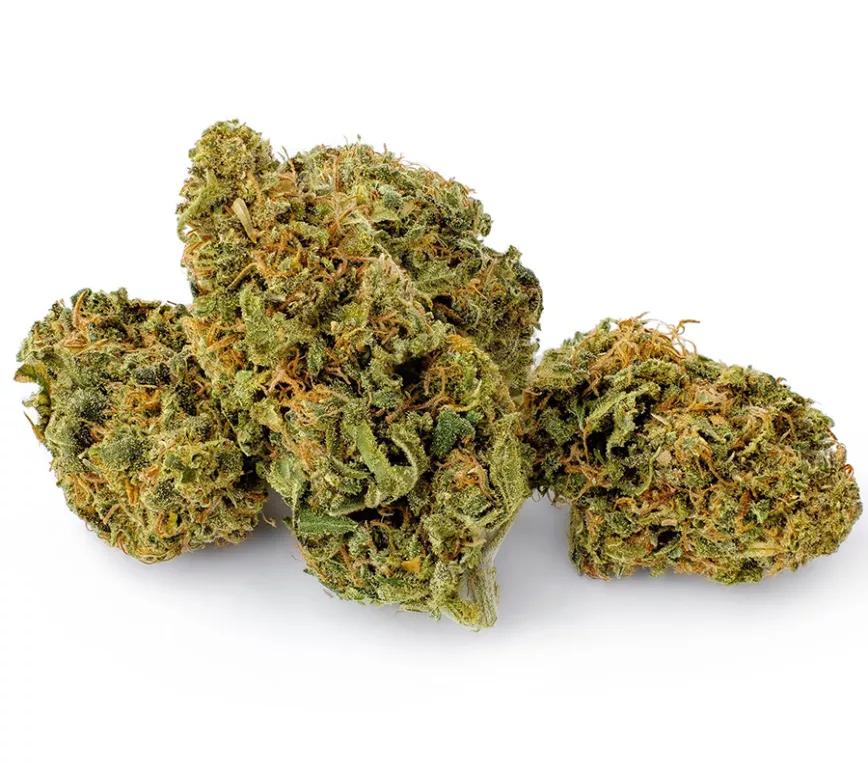 AC/DC de Kiwi: Se reportan rangos de CBD entre el 12 y el 20%, por lo que estamos ante otra variedad poco consistente en ese sentido. Tiene sabor especiado y algo terroso.