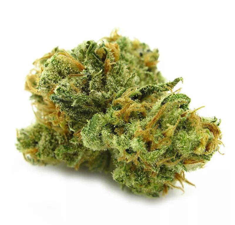 SUPER JACK: mezcla de las clásicas Super Silver Haze y Jack Herer. Para la creatividad o el empujoncito que te hace falta para iniciar un nuevo proyecto vital.