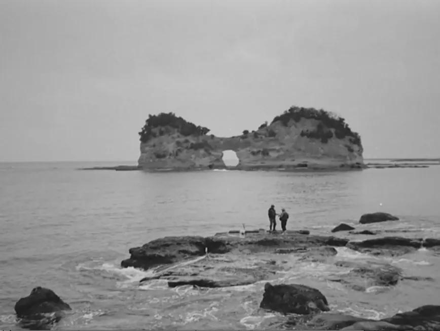 Fotograma de "Flores y rayas"