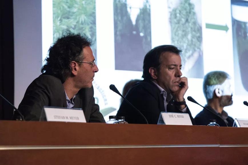 II Congreso Cannabmed