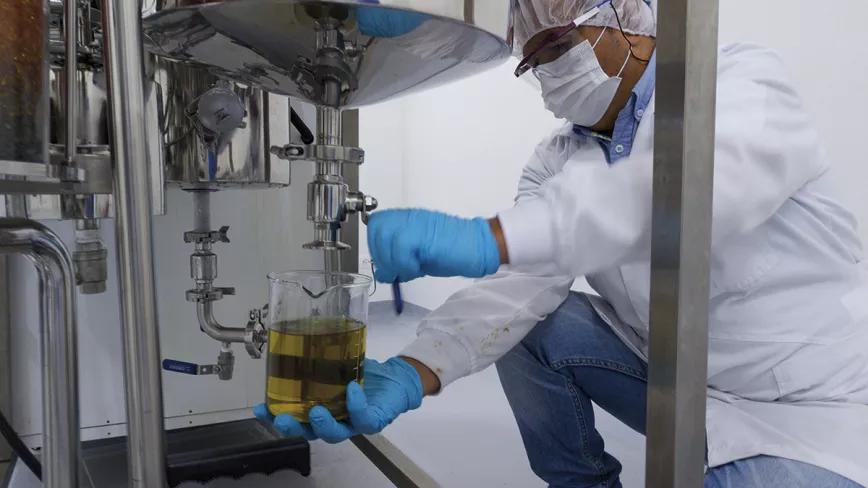 Laboratorio de Clever Leaves