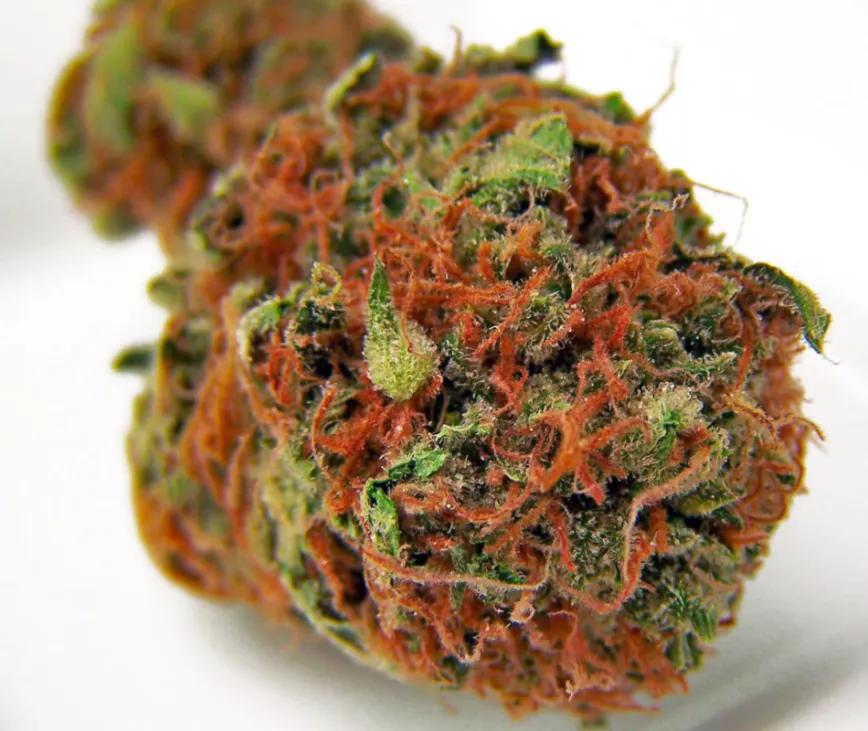 Cherry AK-47:  Sabor a cereza que te da dos golpes a diferente ritmo. El primero va a la cabeza, que se te pone a trabajar como una bicicleta cuesta abajo; el segundo va al cuerpo y te deja una sensación excelsa de relax.