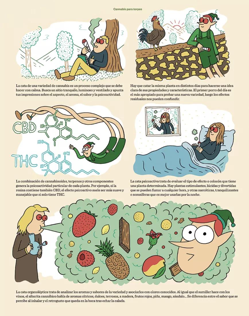 Cannabis para torpes 23.2