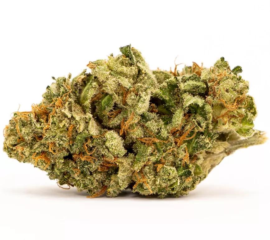 Trainwreck: Una mezcla de variedades mexicanas y afganis. Con un fuerte aroma a cítricos y especias sigue dominando su presencia de pino. Pese a que su nombre te indica que vas a descarrilar del saborcito, no es tan potente.