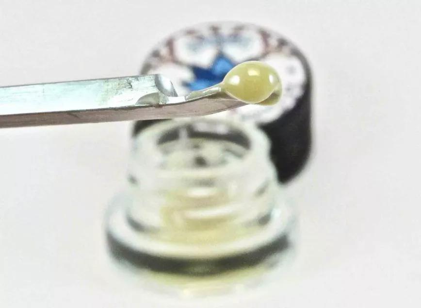 Strawnanna Mochi Flan de Blue River Terps:   Sabores suaves y cremosos en uno de los concentrados más caros que hay en el mercado. Es un perfecto postre o aperitivo, según convenga, gracias a su sabor a plátano y fresas que proporciona el OG gas.