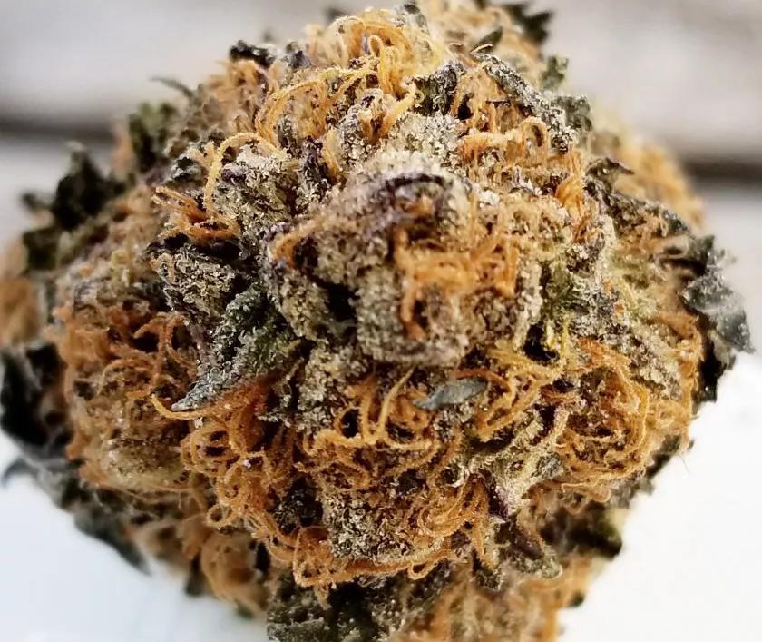 Runtz:  Otra variedad de Cookies Farm que es cruce entre Gelato y Zkittlez que está creciendo en popularidad. El hype está con esta planta conocida por su extrema dulzura. Se situó la número 14 entre las más populares la misma semana en la que se colocó en las listas de Leafly, lo que es un indicador suficiente sobre la importancia que puede tener esta planta este año.