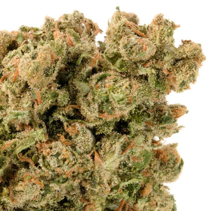 Super Jack: Tonalidades dulces y picantes al mismo tiempo. Como comerte una gominola y pimienta, solo que esta vez funciona bien y no es una guarrada como la que te acabamos de describir. Por favor, no comas gominola con pimienta, no tiene sentido.