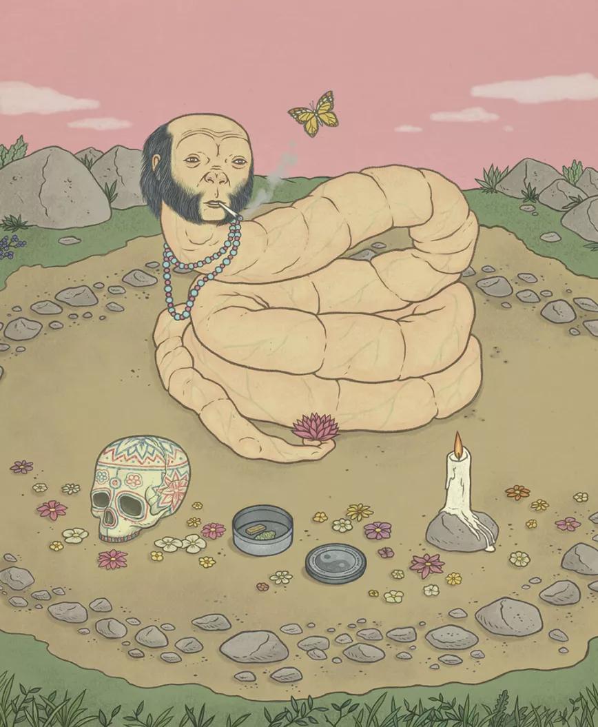 Contemplación - David Sánchez