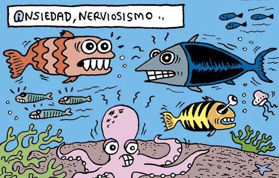 Peixes Loucos - Abarrots