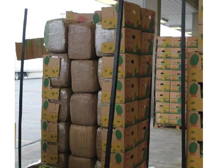 Incautan 1 millón de dólares en marihuana escondida en plátanos