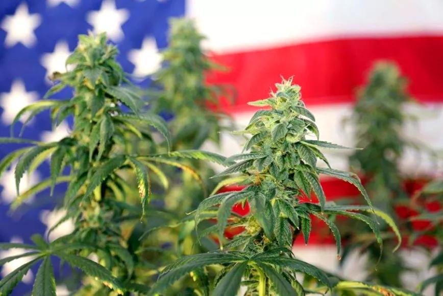 Virginia descriminalizó la marihuana