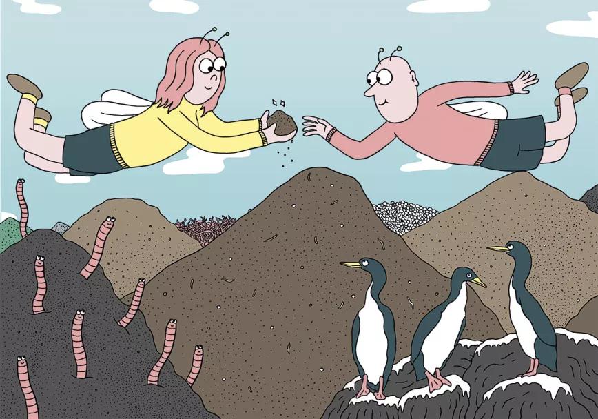 8 Claves para la mejor tierra 