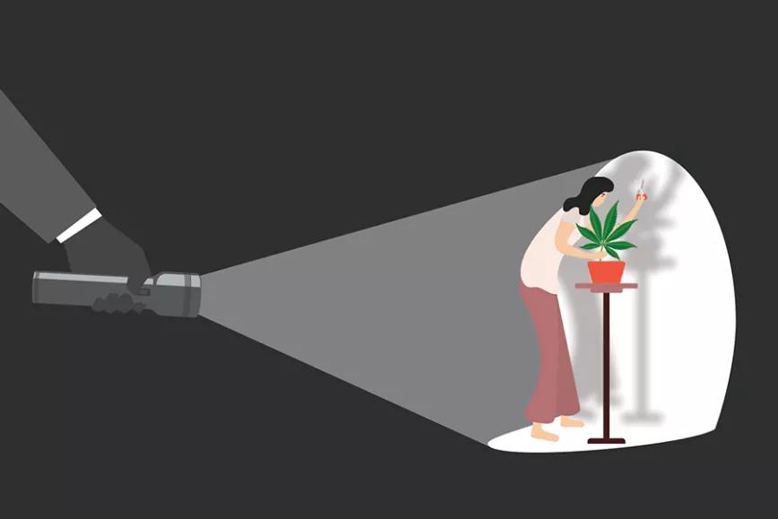 Por un mundo más libre. Editorial #269