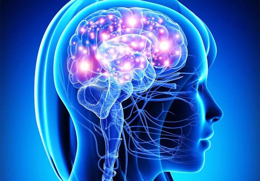 ¿Ayudan los orgasmos al sistema endocannabinoide?